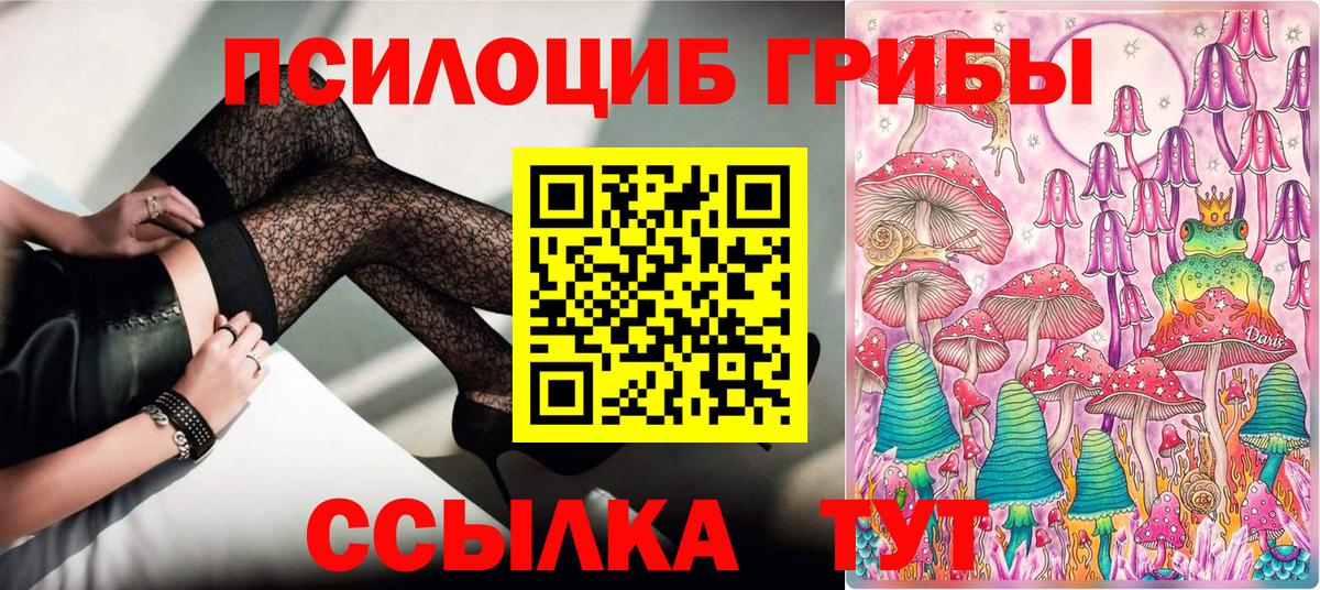 Псилоцибиновые грибы прущие грибы Минеральные Воды